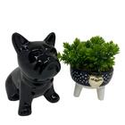 Conjunto Decorativo Vaso De Bolinha E Bulldog Preto Cerâmico