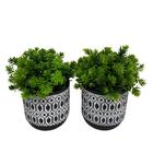 Conjunto Decorativo Vaso De Cimento Estampa Mosaica E Planta