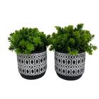 Conjunto Decorativo Vaso De Cimento Estampa Mosaica E Planta