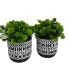 Conjunto Decorativo Vaso De Cimento Estampa Mosaica E Planta