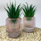 Conjunto Decorativo Vaso De Vidro Trabalhado Com Suculenta