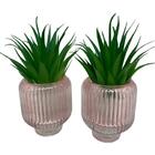 Conjunto Decorativo Vaso De Vidro Trabalhado Com Suculenta