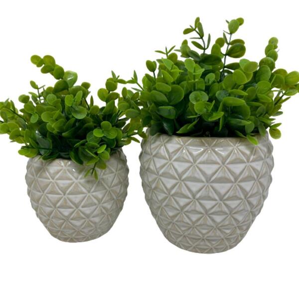 Conjunto Decorativo Vaso Geométrico De Cerâmica Com Planta