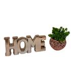 Conjunto Decorativo Vaso Geométrico E Palavra Home Rose Gold