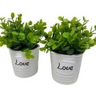 Conjunto Decorativo Vasos De Cerâmica Love Com Planta
