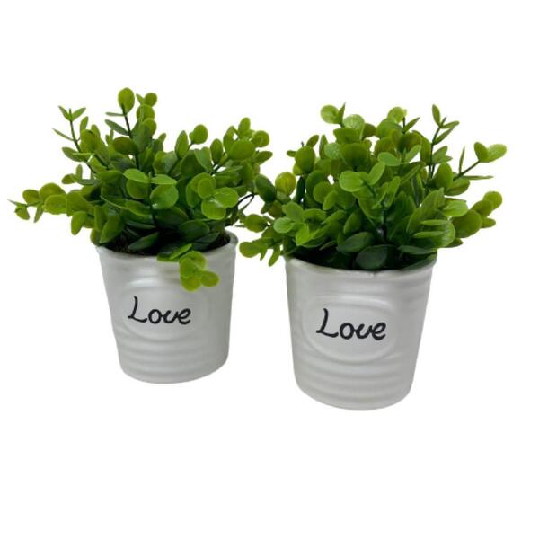 Conjunto Decorativo Vasos De Cerâmica Love Com Planta