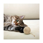 Conjunto Duas Bolinhas Para Gatos - Hemp - Pp127