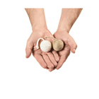 Conjunto Duas Bolinhas Para Gatos - Hemp - Pp127