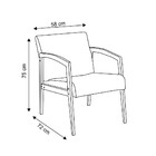 Conjunto Duas Poltronas Decorativas D Less Malu