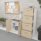 Conjunto Escritório Armário Baixo E Gaveteiro Arquivo Com Fec