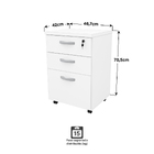 Conjunto Escritório Escrivaninha Em L E Gaveteiro Netmobil -