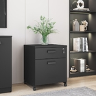 Conjunto Gaveteiro E Balcão Bucky Preto