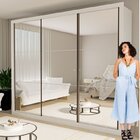Conjunto Guarda Roupa Casal Premium 242cm Com Espelho 3 Porta