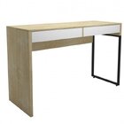 Conjunto Home Office Industrial 2 Peças 1 Escrivaninha E 1 Es