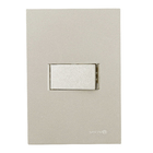 Conjunto Interruptor Paralelo com Suporte 4x2 ABS Titanium Madrid Lexman