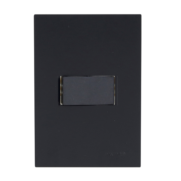 Conjunto Interruptor Simples com Suporte 4x2 ABS Preto Fosco Madrid Lexman