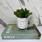 Conjunto Livro Decorativo + Vaso Branco De Cimento Granilite