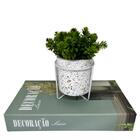 Conjunto Livro Decorativo + Vaso Branco De Cimento Granilite