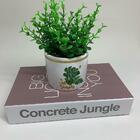 Conjunto Livro Decorativo E Vaso Estampa Costela De Adão