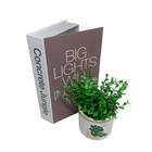 Conjunto Livro Decorativo E Vaso Estampa Costela De Adão