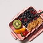 Conjunto Marmita Hermética E Sanduicheira Pote Para Lanches F