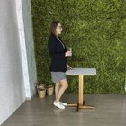 Conjunto Mesa De Jantar Jaque 60cm E 2 Cadeiras Luna Assento