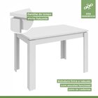 Conjunto Mesa Retangular 120cm 4 Cadeiras Athenas Móveis Lopa