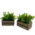 Conjunto Mini Vaso Caixinha De Madeira Escura Decorativa