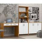 Conjunto P/ Escritório 2 Gavetas Estante 2 Portas Balcão 3 Po