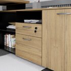 Conjunto Para Escritório Com Mesa Diretor Em L, 1 Armário Alt