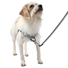 Conjunto Peitoral Antipuxao E Guia G Verde Savana