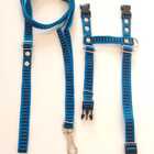 Conjunto Peitoral Cachorro E Gato Smooty Pet Pp Listrado Azul