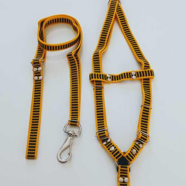 Conjunto Peitoral Cachorro Smooty Pet M Listrado Amarelo