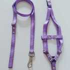 Conjunto Peitoral Cachorro Smooty Pet P Listrado Lilás/branco