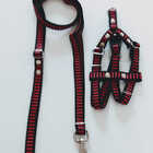 Conjunto Peitoral Cachorro Smooty Pet P Listrado Vinho/branco