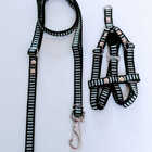 Conjunto Peitoral Cachorro Smooty Pet P Listrado Vinho/branco