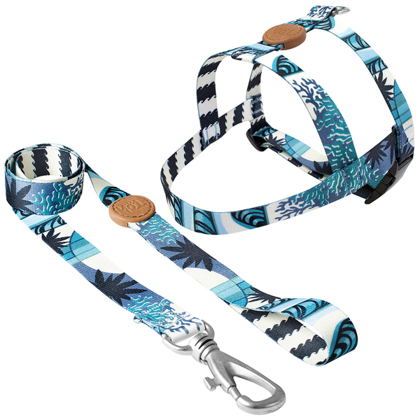 Conjunto Peitoral E Guia  Tamanho Gg Azul Noronha Toh Dog