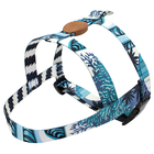 Conjunto Peitoral E Guia  Tamanho Gg Azul Noronha Toh Dog