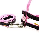 Conjunto Peitoral E Guia Nylon Jeans Nro 1 Coltelli Rosa