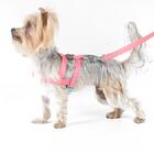 Conjunto Peitoral E Guia Tamanho Gg Rosa Fiji Toh Dog