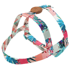 Conjunto Peitoral E Guia Tamanho Pp Rosa Laguna