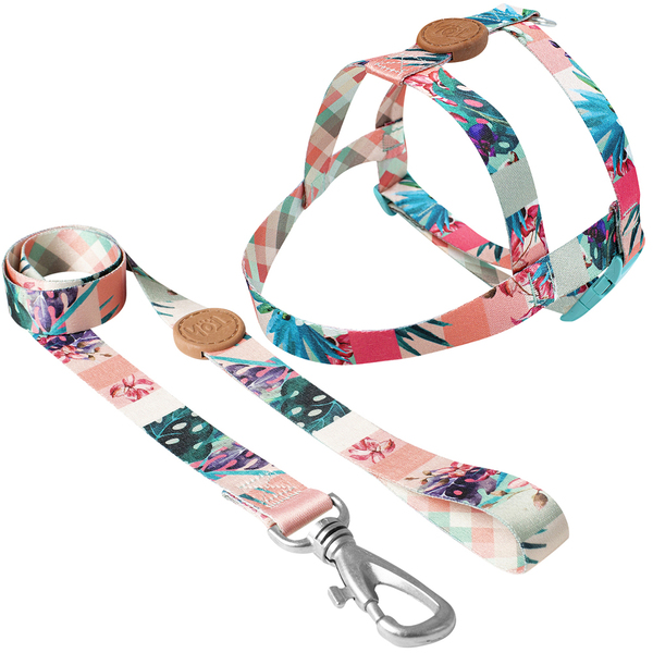 Conjunto Peitoral E Guia Tamanho Pp Rosa Laguna