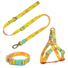 Conjunto Peitoral Guia E Coleira Para Cachorro Madog Floral M