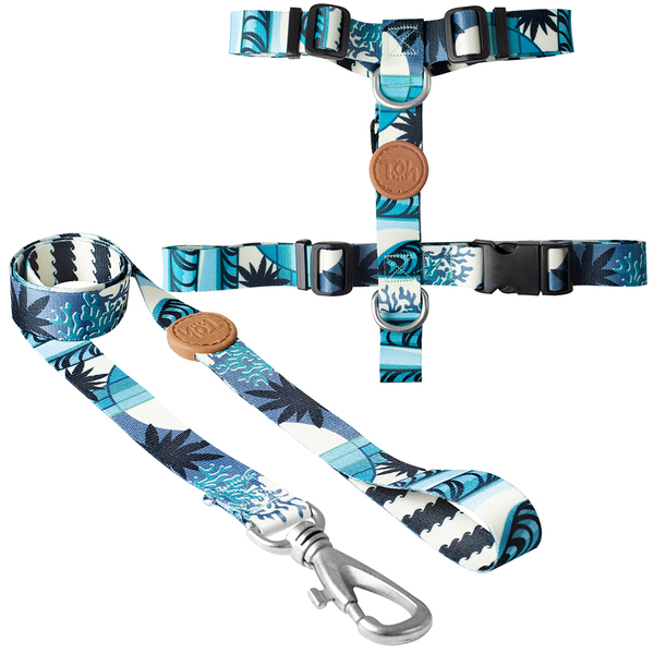 Conjunto Peitoral H E Guia Tamanho M Azul Noronha