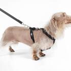 Conjunto Peitoral H E Guia Tamanho P Black