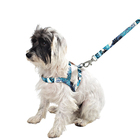 Conjunto Peitoral Tradicional E Guia Pp Azul Noronha