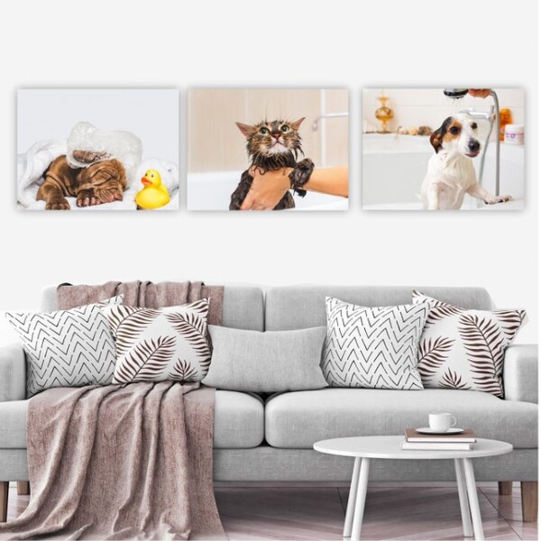 Conjunto Placas Decorativa Pet Shop Cachorro Banho Tosa - 30x