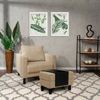 Conjunto Poltrona Com Puff Baú 60cm E Bandeja Antúrio Cabecas