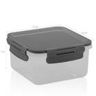 Conjunto Potes Herméticos 1500ml 800ml 500ml Mantimentos Chum