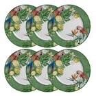 Conjunto Prato Raso 6 Peças Paraiso Tropical - Alleanza